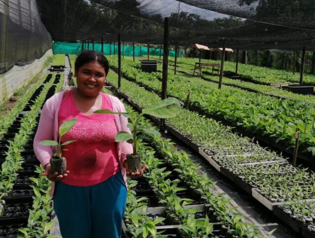 Acorbat: México profundizará conocimientos con las soluciones agrícolas de Jiffy cover