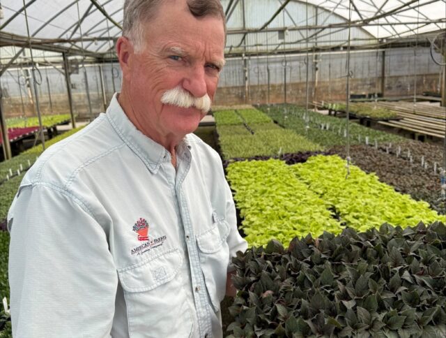 Estudio de Caso: Cómo American Farms Aumentaron la Producción en un 50% sin Ampliar el Terreno cover