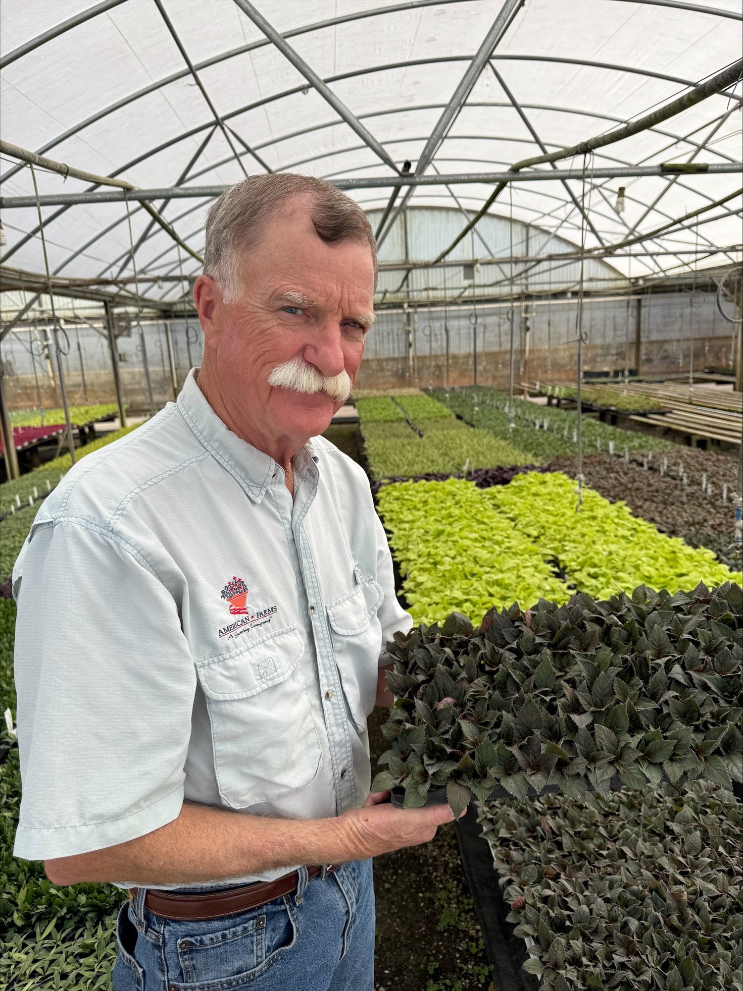 Estudio de Caso: Cómo American Farms Aumentaron la Producción en un 50% sin Ampliar el Terreno cover
