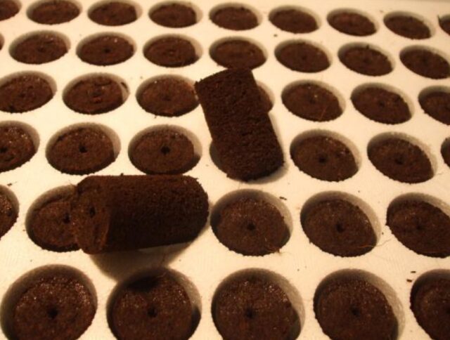 Ofrece a tus plantas el mejor comienzo: El inicio confiable para plantas in vitro cover