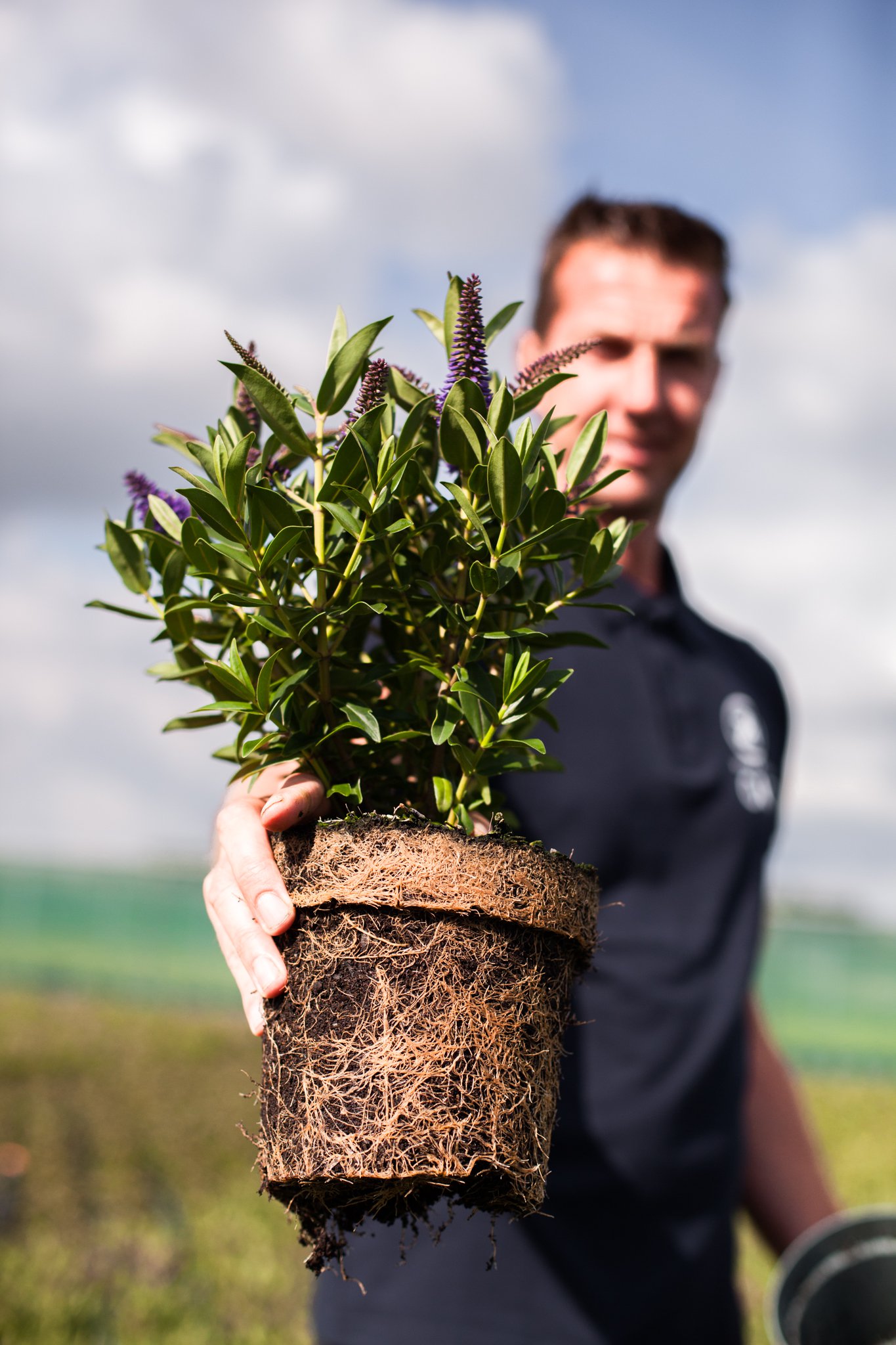 Por qué importa un futuro sin turba: Como navegar hacia una horticultura más sostenible cover
