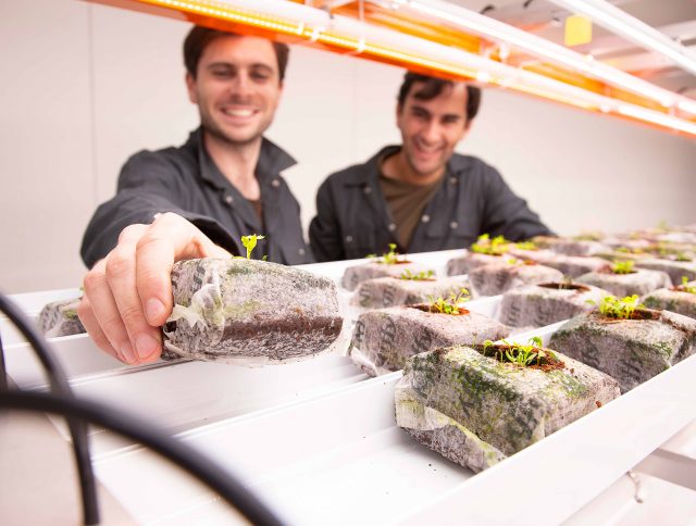 Jiffy Growblock Ecocert