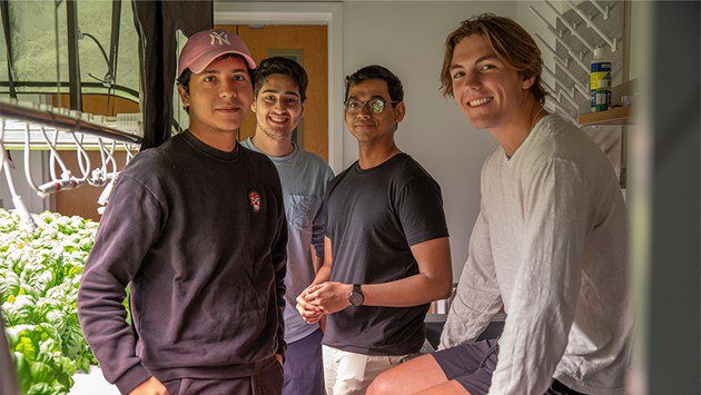 University of Miami undergrads with their AI hydroponics project