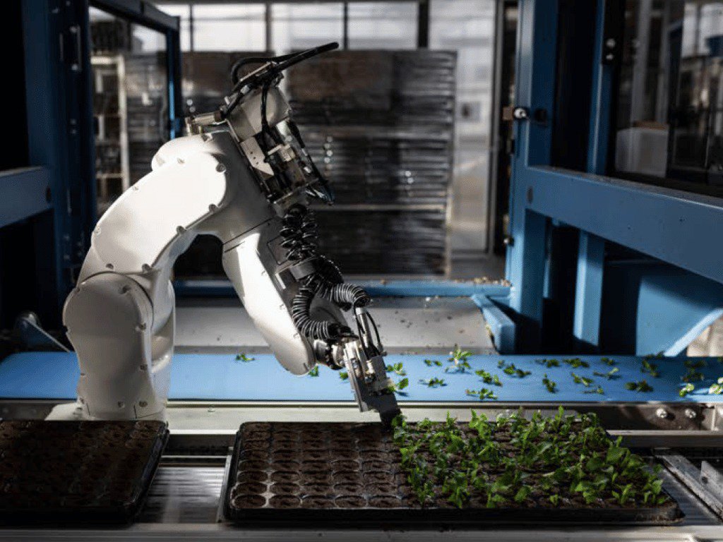 Agriculture durable en 2025 : 6 tendances à surveiller cover