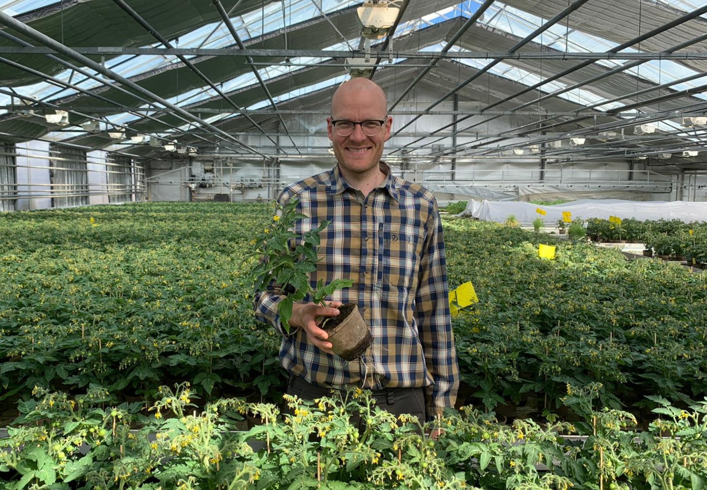 organic Jiffy Pots