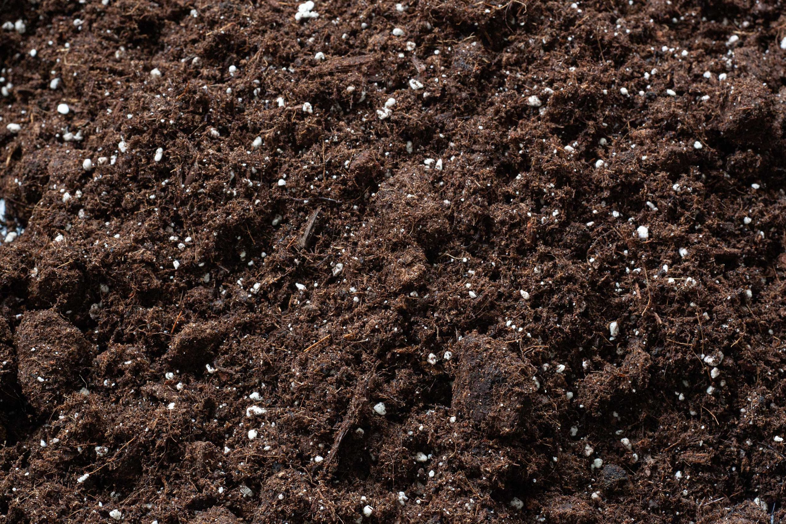premium substrate jiffy group