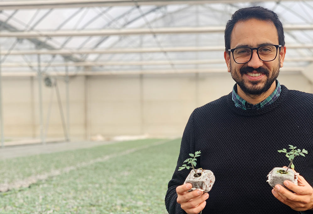 Jiffy Growblock trials for tomatoes in Latin America