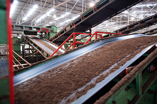 1 plant Jiffy Group Zwijndrecht