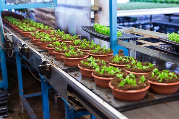 Green Chemistry Campus - sustainable fibre alternatives