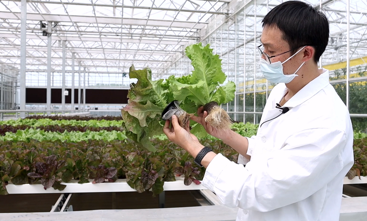 First Trials of Biodegradable Jiffy Pot in China cover