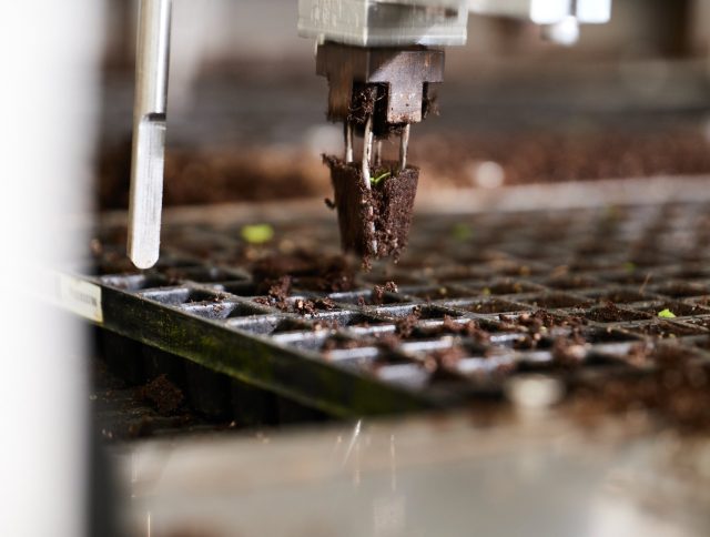 Meeting the Challenge of High-Quality, Cost-Efficient Substrates cover