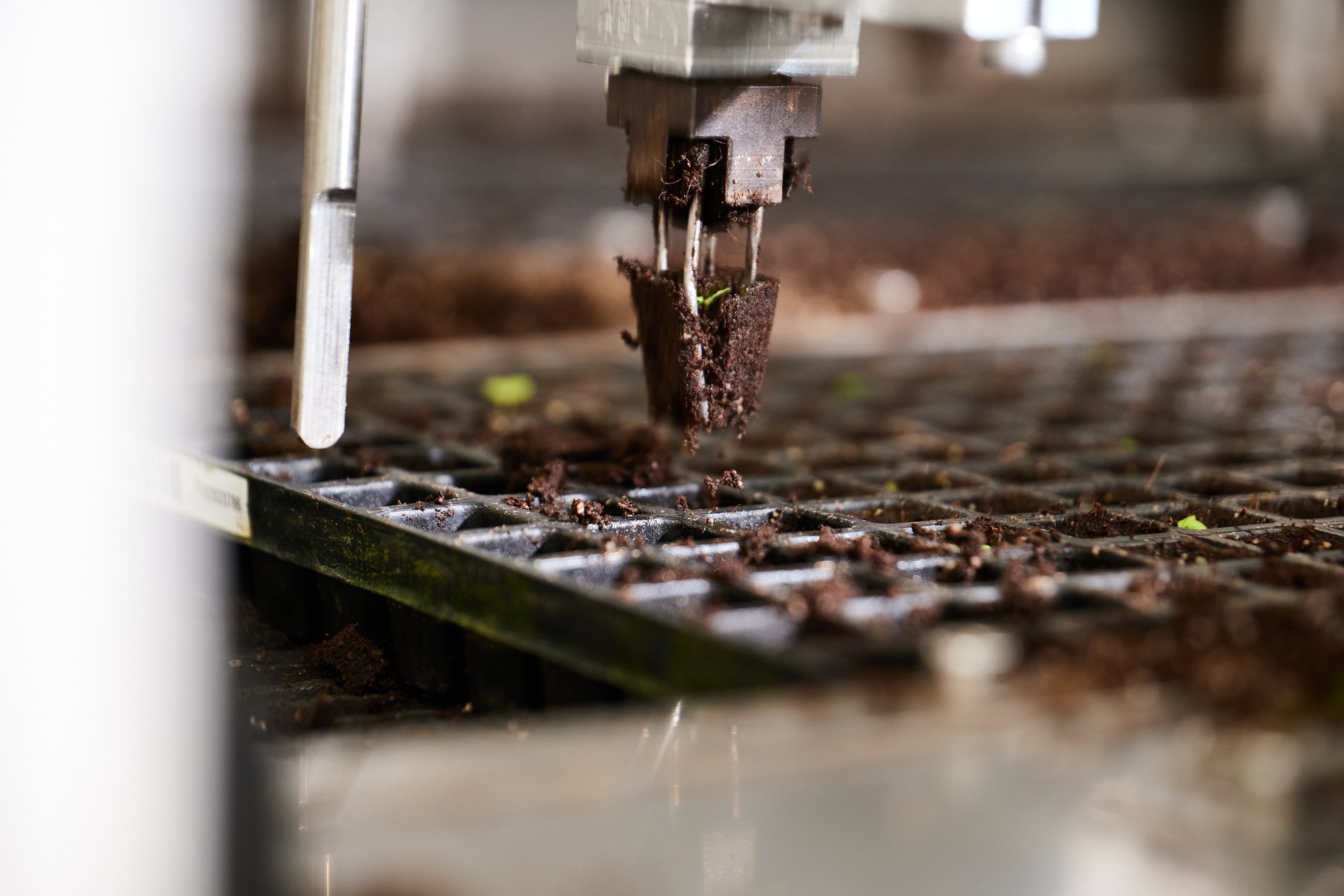 Meeting the Challenge of High-Quality, Cost-Efficient Substrates cover