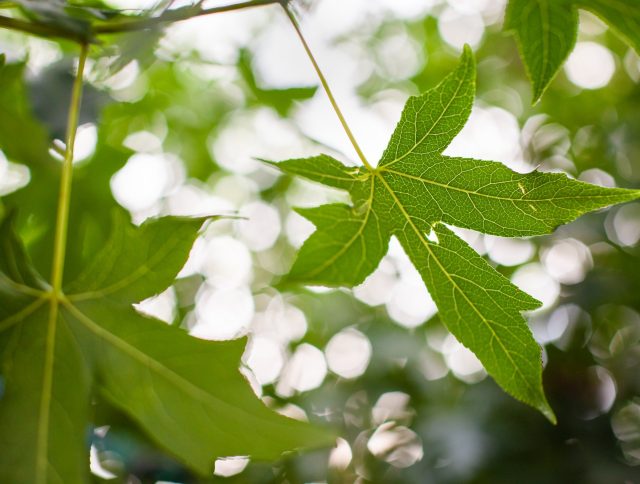 How to have a more sustainable production? cover