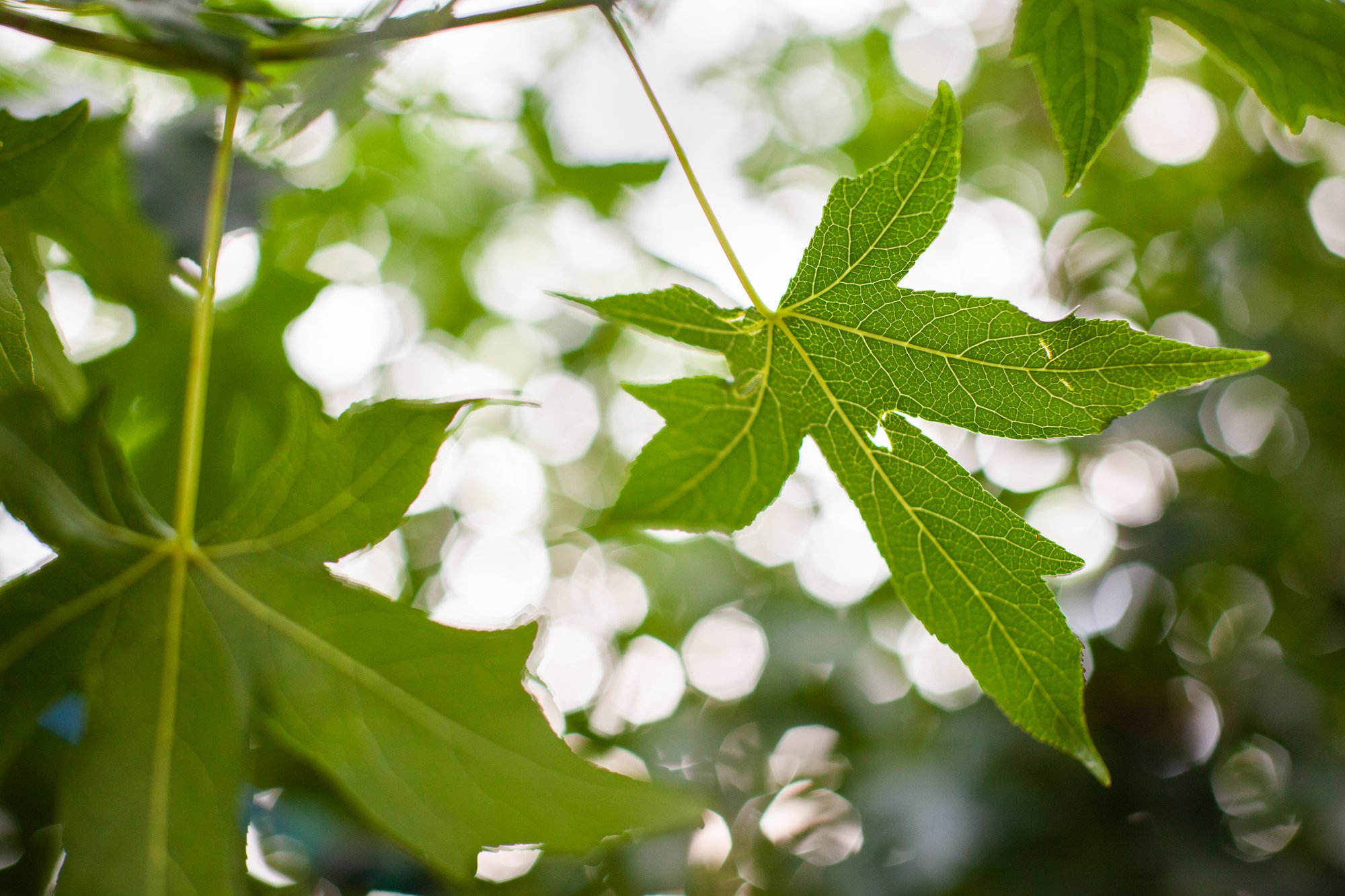 How to have a more sustainable production? cover