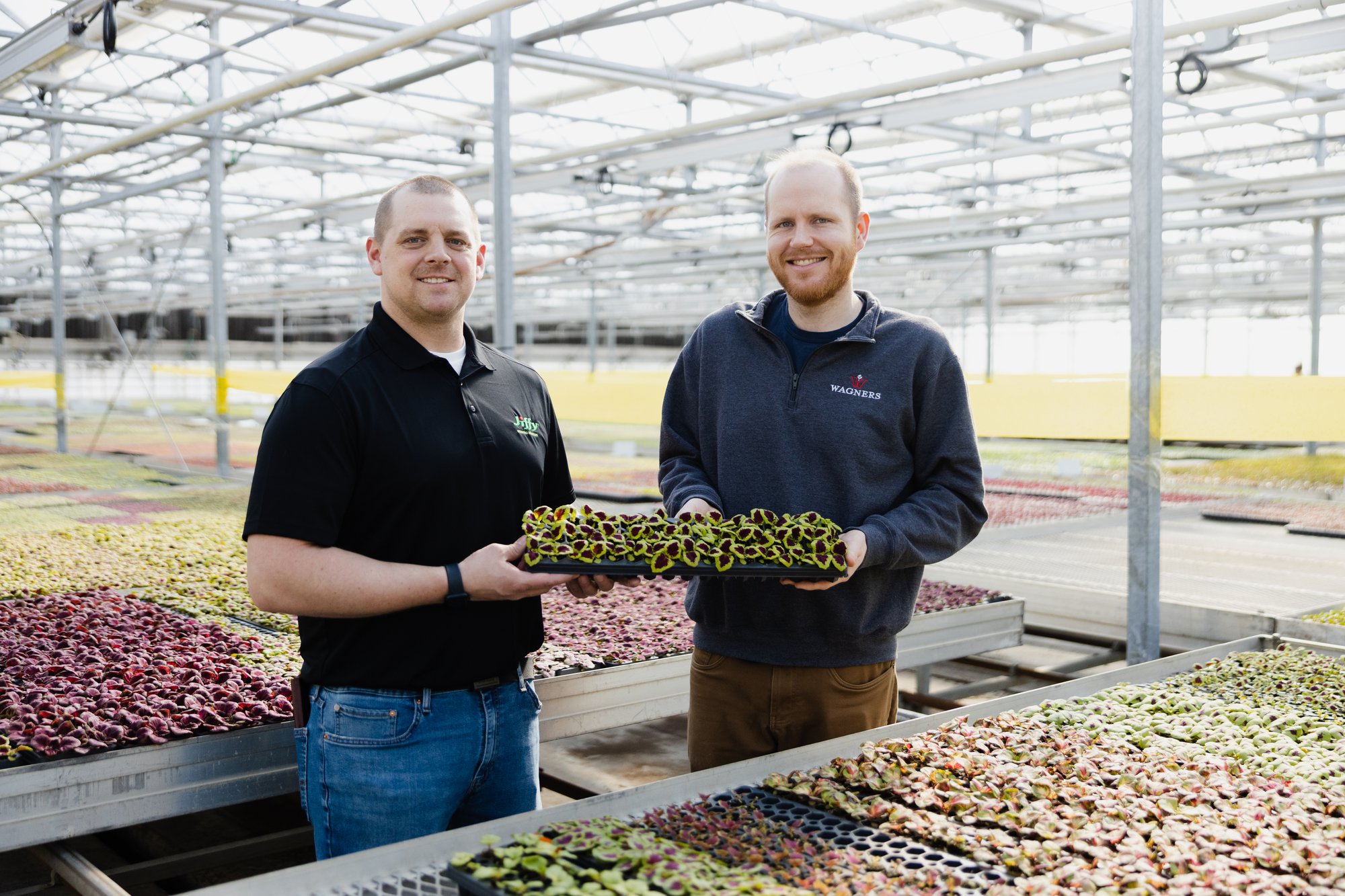 A Case Study of Client Success in Minneapolis cover