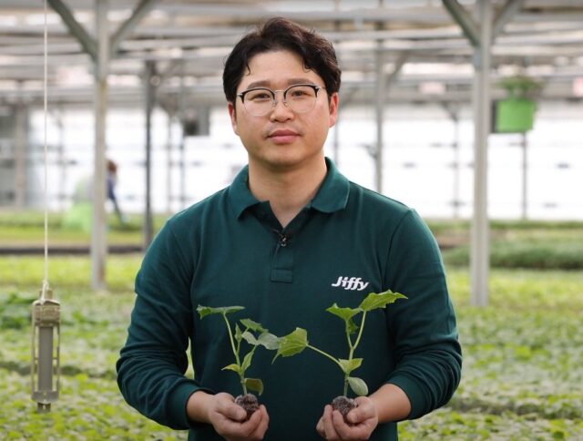 Jiffy rep with cucumber propagation pellets