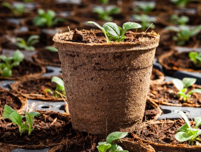 The Jiffy Team at Cultivate trade event