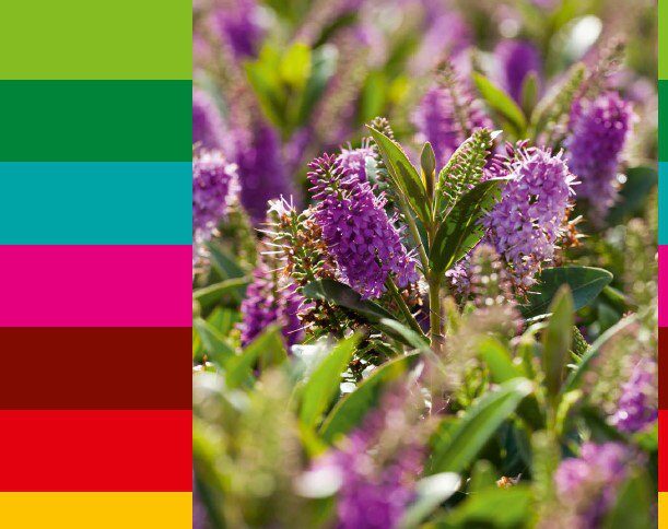 Latest Jiffy Sustainability Report Is Out Now cover