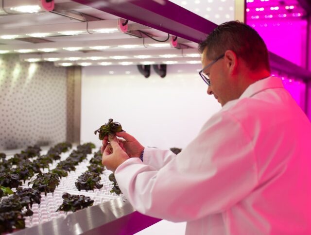 Hydroponics and food safety cover