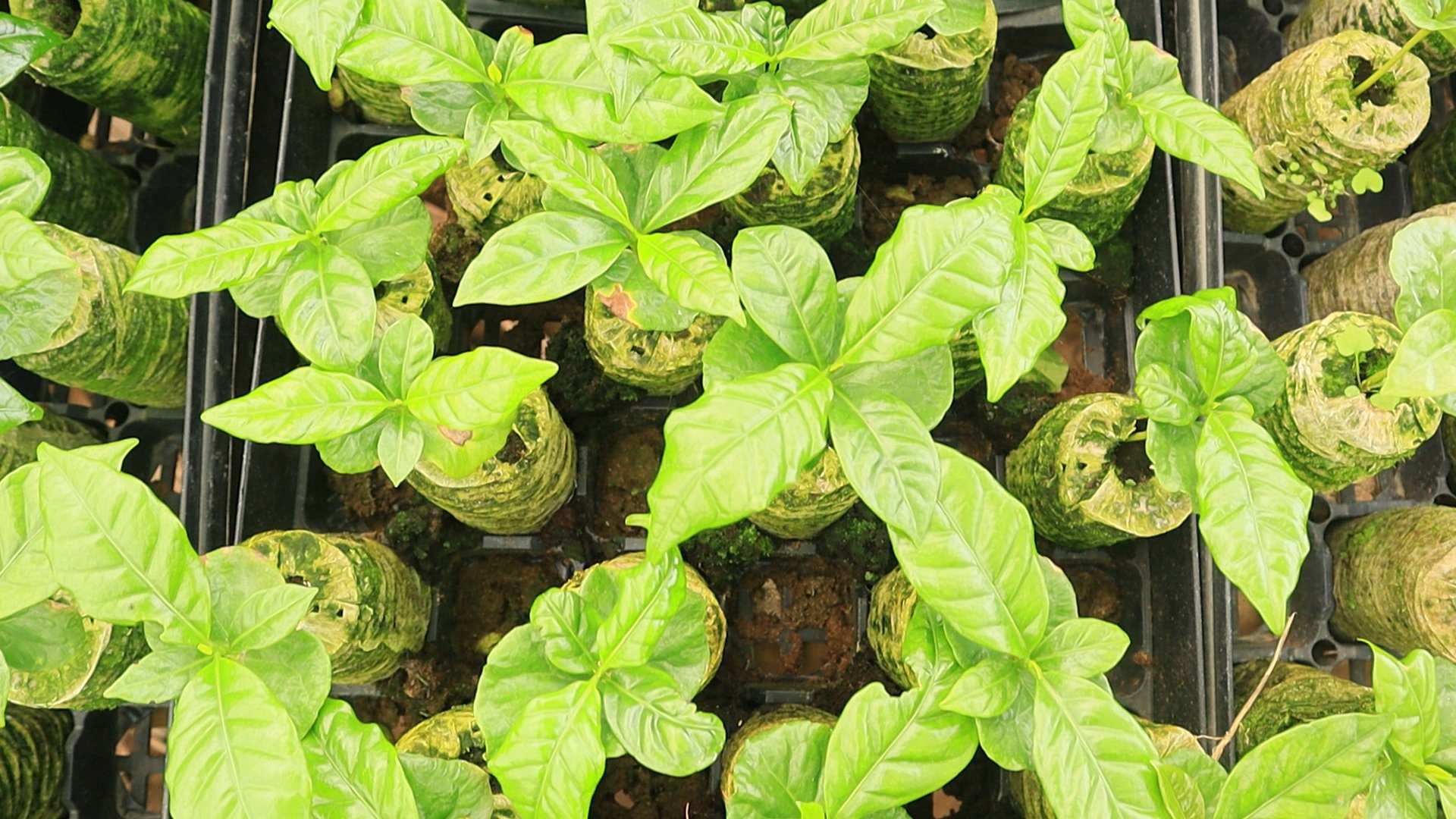 Price comparison: How can you boost your performance? cover