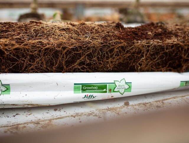 Sustainability Advances: Jiffy's Growbags now with 20% Recycled Plastic cover