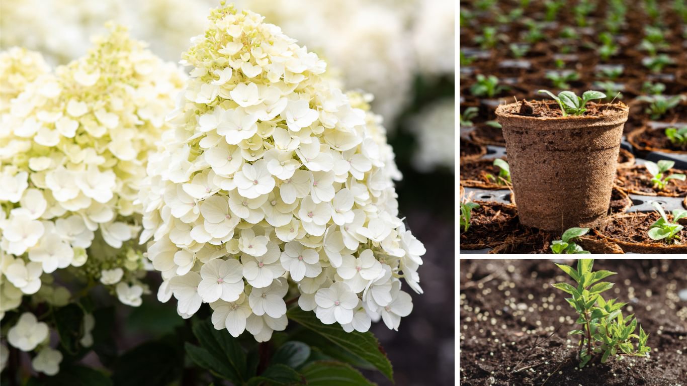 Jiffy Growing Solutions Booth 8027 at FARWEST, PORTLAND, OR.