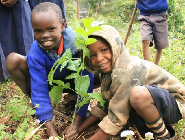 Boys planting trees together through ForestNation's We Plant You Plant program