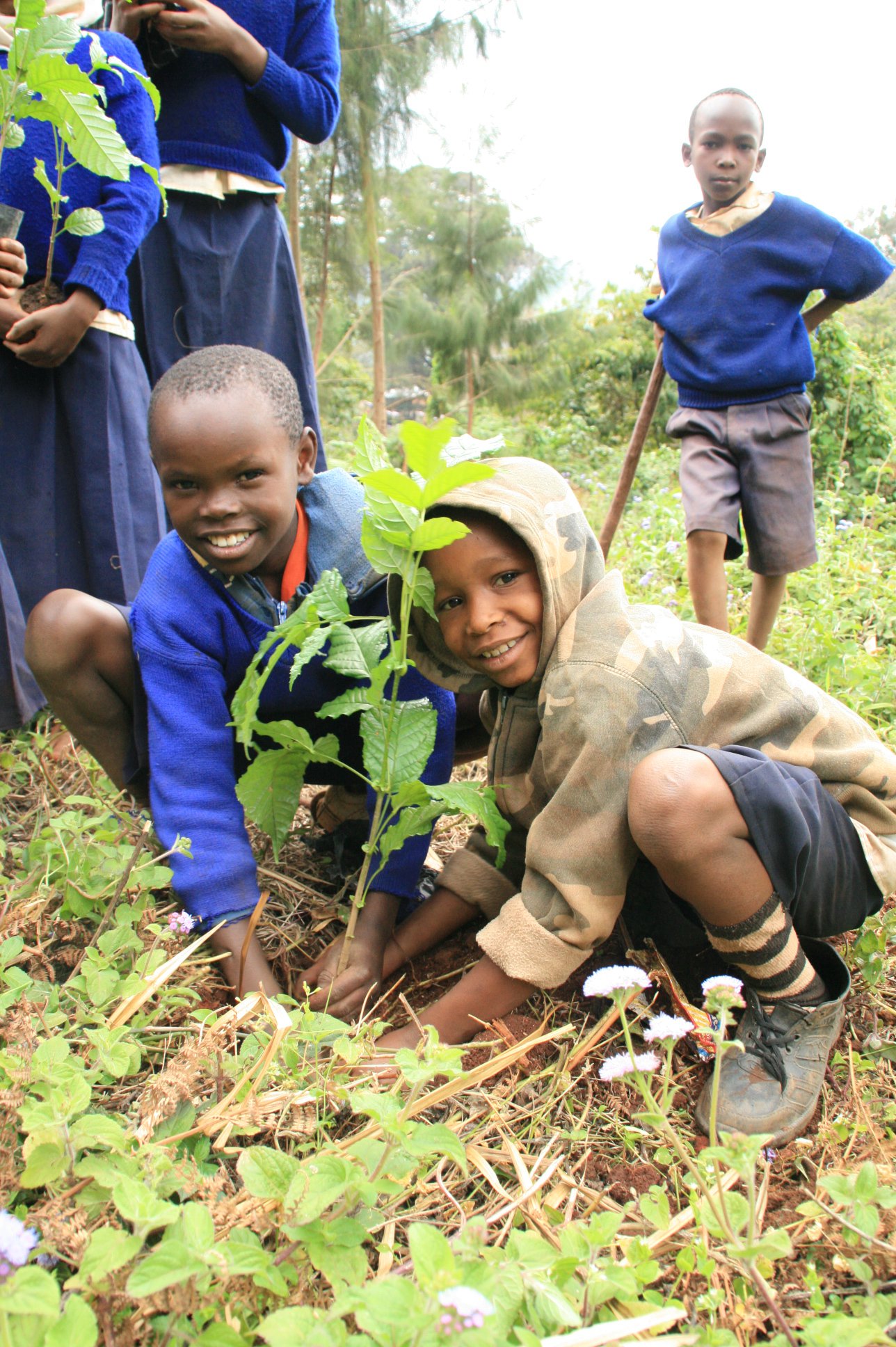 Boys planting trees together through ForestNation's We Plant You Plant program
