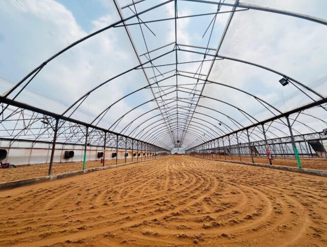 ​Jiffy Coir: Sustainable Quality for Reliable Growing Media cover
