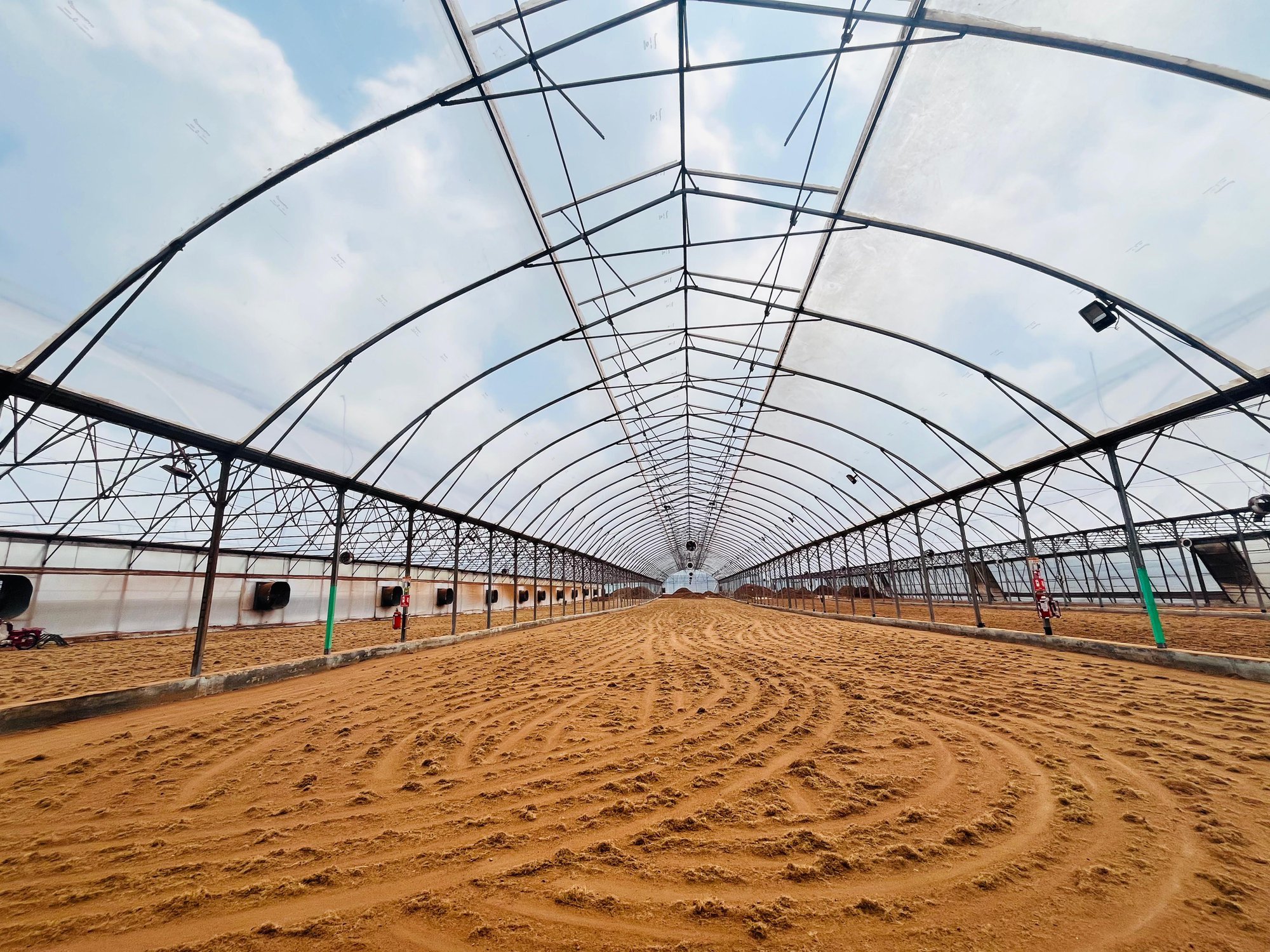 ​Jiffy Coir: Sustainable Quality for Reliable Growing Media cover