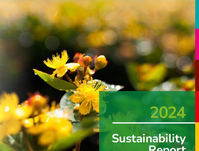 The 2024 Sustainability Report cover