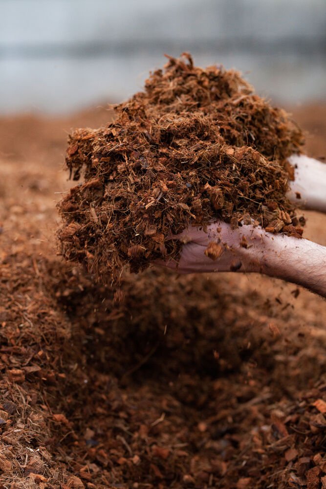 World Soil Day 2025 Insights for Growers: Smarter Substrates and Better Soil Stewardship cover