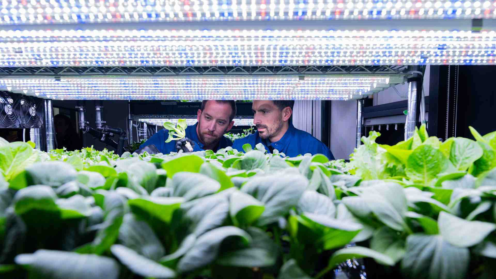 Preparing for 2026: What Growers Need to Know About Substrate Availability, Costs, and New Materials cover