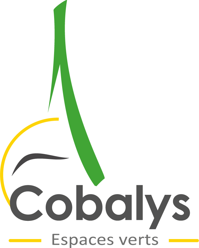 Cobalys
