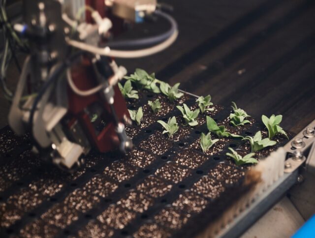 Growing Media Availability and Resource Pressure: What Growers Are Planning For in 2026 cover