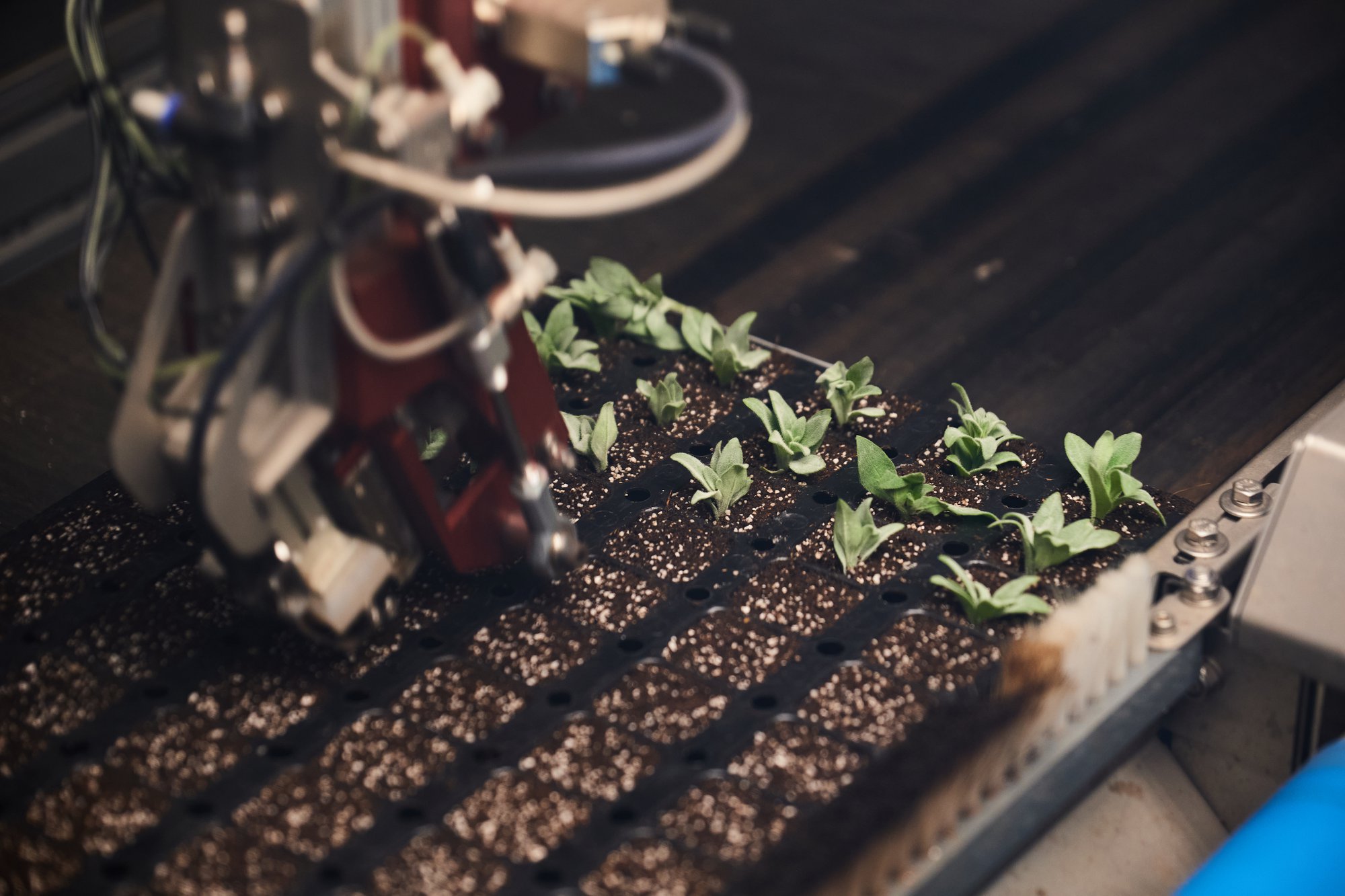 Growing Media Availability and Resource Pressure: What Growers Are Planning For in 2026 cover