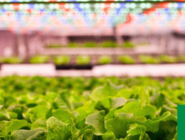 Innovating Horticulture for a Better Future at GreenTech Amsterdam cover