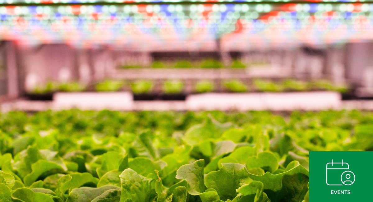 Innovating Horticulture for a Better Future at GreenTech Amsterdam cover
